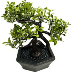 Dekor kaspó bonsai EVA5688 