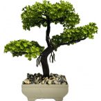 Dekor kaspó  bonsai EVA5660